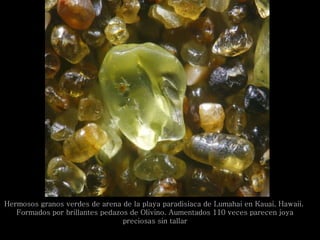 Hermosos granos verdes de arena de la playa paradisiaca de Lumahai en Kauai, Hawaii.  Formados por brillantes pedazos de Olivino. Aumentados 110 veces parecen joya preciosas sin tallar 