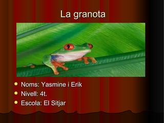 La granotaLa granota
 Noms: Yasmine i ErikNoms: Yasmine i Erik
 Nivell: 4t.Nivell: 4t.
 Escola: El SitjarEscola: El Sitjar
 