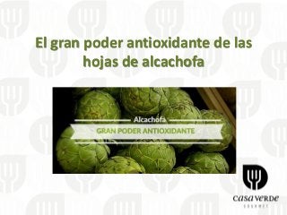 El gran poder antioxidante de las
hojas de alcachofa
 