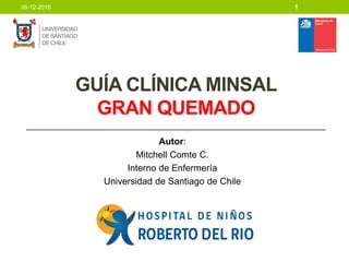 GUÍA CLÍNICA MINSAL
GRAN QUEMADO
Autor:
Mitchell Comte C.
Interno de Enfermería
Universidad de Santiago de Chile
106-12-2018
 