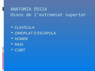 ANATOMÍA ÒSSIA
Ossos de l’extremiat superior

 CLAVÍCULA
 OMOPLAT O ESCÀPULA
 HÚMER
 RADI
 CÚBIT
 