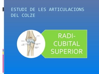 ESTUDI DE LES ARTICULACIONS
DEL COLZE
 