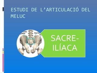 ESTUDI DE L’ARTICULACIÓ DEL
MELUC
 