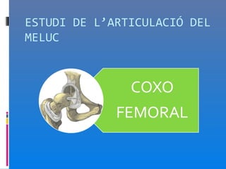 ESTUDI DE L’ARTICULACIÓ DEL
MELUC
 