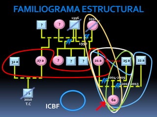 FAMILIOGRAMAESTRUCTURAL
?
32 a
7 a
?? ?
?
27 a
2010
T.C
21 a 25 a 22 a
1996
6a6a
ICBF
1990
2004-2009
2012-2013
2010
<<<<<<<
 