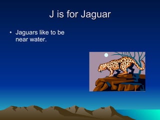 J is for Jaguar Jaguars like to be near water. 