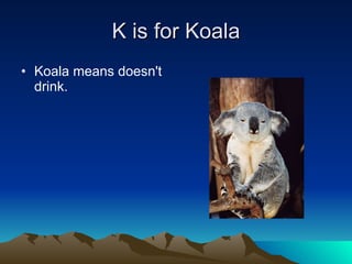 K is for Koala Koala means doesn't drink. 