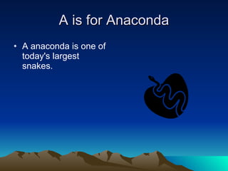 A is for Anaconda A anaconda is one of today's largest snakes.  