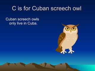 C is for Cuban screech owl  Cuban screech owls only live in Cuba. 