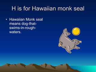 H is for Hawaiian monk seal Hawaiian Monk seal means dog-that-swims-in-rough-waters.  