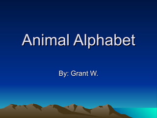 Animal Alphabet By: Grant W. 