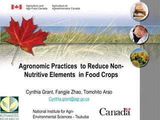 Agronomic Practices to Reduce Non-
Nutritive Elements in Food Crops
Cynthia Grant, Fangjie Zhao, Tomohito Arao
Cynthia.grant@agr.gc.ca
National Institute for Agri-
Environmental Sciences - Tsukuba
 