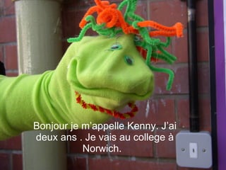 Bonjour je m’appelle Kenny. J’ai deux ans . Je vais au college  à  Norwich.   