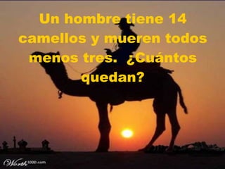 Un hombre tiene 14 camellos y mueren todos menos tres.  ¿Cuántos quedan? 