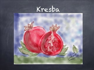 Kresba
 