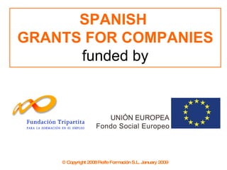 SPANISH  GRANTS FOR COMPANIES funded by © Copyright 2008 Reife Formación S.L. January 2009 