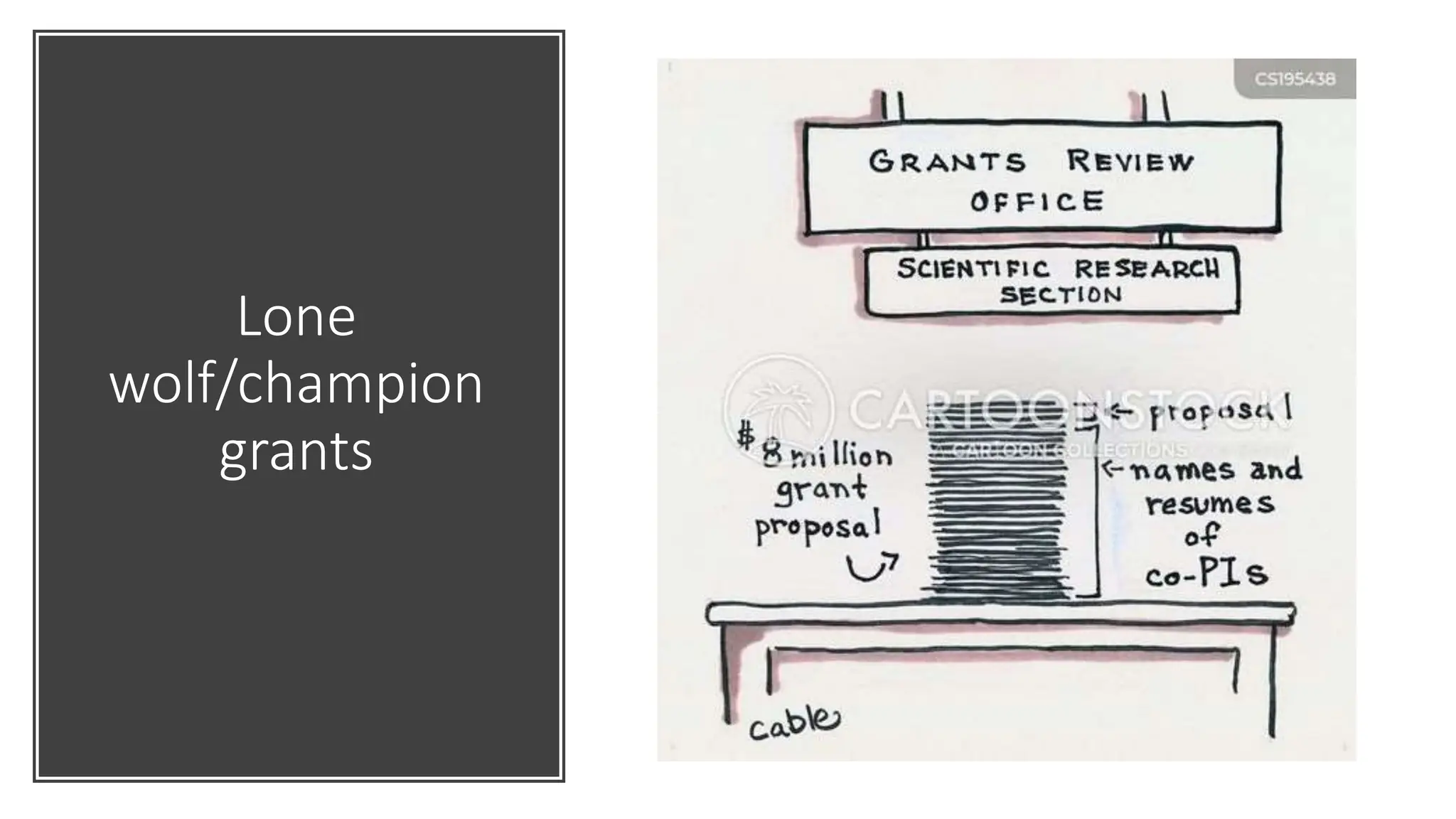 Lone
wolf/champion
grants
 