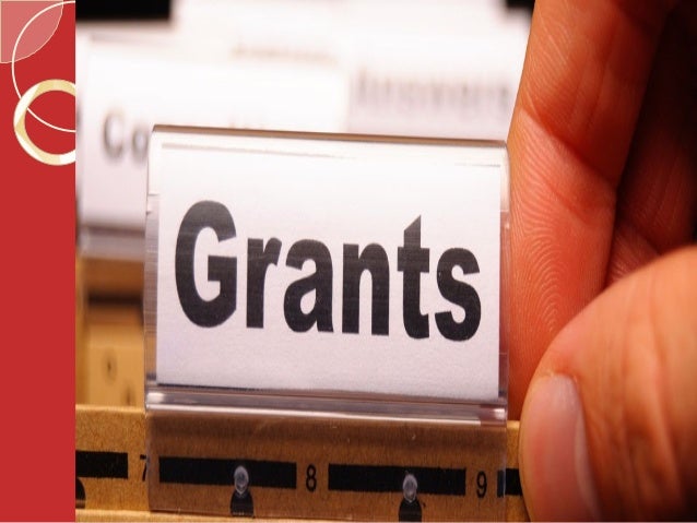 Tender writing services