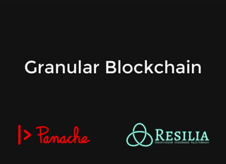 Granular Blockchain