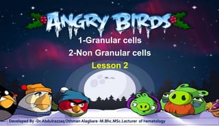 1-Granular cells
2-Non Granular cells
Lesson 2
Developed By -Dr.Abdulrazzaq Othman Alagbare -M.Bhc.MSc.Lecturer of hematology
 