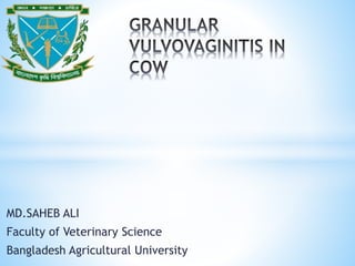 MD.SAHEB ALI
Faculty of Veterinary Science
Bangladesh Agricultural University
 