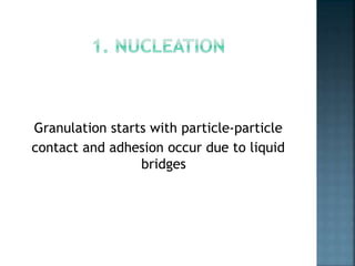 Granulation starts with particle-particle
contact and adhesion occur due to liquid
bridges
 