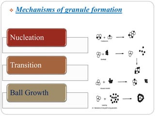  Mechanisms of granule formation
Nucleation
Transition
Ball Growth
 