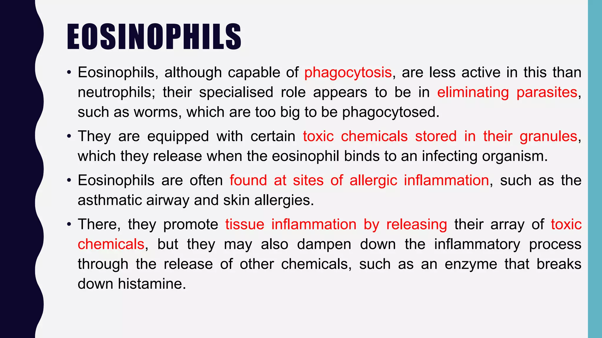 Granulocytes and agranulocytes.pptx