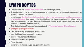 LYMPHOCYTES
• Lymphocytes are smaller than monocytes and have large nuclei.
• They circulate in the blood and are present in great numbers in lymphatic tissue such as
lymph nodes and the spleen.
• Lymphocytes develop from pluripotent stem cells in red bone marrow and from precursors
in lymphoid tissue, then travel in the blood to lymphoid tissue elsewhere in the body where
they are activated, i.e. they become immunocompetent which means they are able to
respond to antigens (foreign material).
• Two distinct types of lymphocyte are produced – T-lymphocytes and B-lymphocytes.
• Examples of antigens include:
• cells regarded by lymphocytes as abnormal,
• cells that have been invaded by viruses,
• cancer cells, transplanted tissue
• pollen from flowers and plants
• Fungi, bacteria
• some large molecule drugs, e.g. penicillin, aspirin.
 
