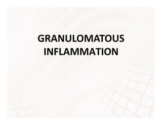 GRANULOMATOUS
INFLAMMATION
 