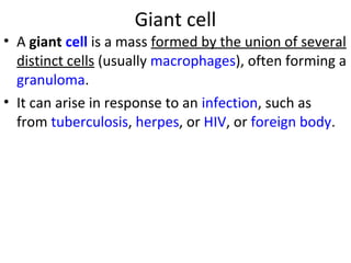 Giant cell
• A giant cell is a mass formed by the union of several
distinct cells (usually macrophages), often forming a
granuloma.
• It can arise in response to an infection, such as
from tuberculosis, herpes, or HIV, or foreign body.
 