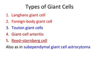 Types of Giant Cells
1. Langhans giant cell
2. Foreign-body giant cell
3. Touton giant cells
4. Giant-cell arteritis
5. Reed–sternberg cell
Also as in subependymal giant cell astrocytoma
 
