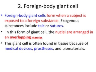 2. Foreign-body giant cell
• Foreign-body giant cells form when a subject is
exposed to a foreign substance. Exogenous
substances include talc or sutures.
• In this form of giant cell, the nuclei are arranged in
an overlapping manner.
• This giant cell is often found in tissue because of
medical devices, prostheses, and biomaterials.
 