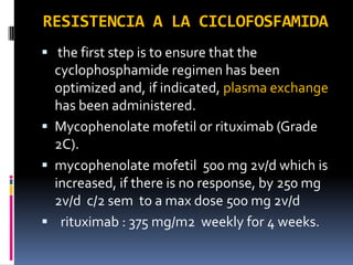 RESISTENCIA A LA CICLOFOSFAMIDA
 the first step is to ensure that the
  cyclophosphamide regimen has been
  optimized and, if indicated, plasma exchange
  has been administered.
 Mycophenolate mofetil or rituximab (Grade
  2C).
 mycophenolate mofetil 500 mg 2v/d which is
  increased, if there is no response, by 250 mg
  2v/d c/2 sem to a max dose 500 mg 2v/d
 rituximab : 375 mg/m2 weekly for 4 weeks.
 