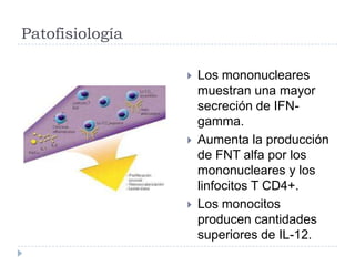 Patofisiología
 Los mononucleares
muestran una mayor
secreción de IFN-
gamma.
 Aumenta la producción
de FNT alfa por los
mononucleares y los
linfocitos T CD4+.
 Los monocitos
producen cantidades
superiores de IL-12.
 