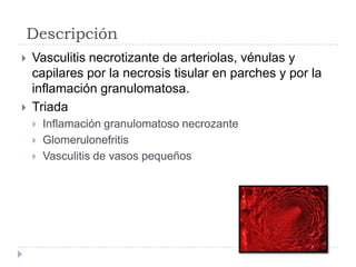 Descripción
 Vasculitis necrotizante de arteriolas, vénulas y
capilares por la necrosis tisular en parches y por la
inflamación granulomatosa.
 Triada
 Inflamación granulomatoso necrozante
 Glomerulonefritis
 Vasculitis de vasos pequeños
 