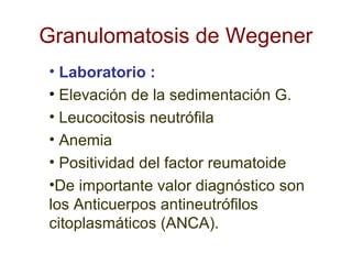 Granulomatosis de Wegener
• Laboratorio :
• Elevación de la sedimentación G.
• Leucocitosis neutrófila
• Anemia
• Positividad del factor reumatoide
•De importante valor diagnóstico son
los Anticuerpos antineutrófilos
citoplasmáticos (ANCA).
 