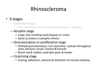 Rhinoscleroma
• 3 stages
– Catarrhal stage
• Foul-smelling purulent rhinorrhoea (weeks – months)
– Atrophic stage
• Large, foul-smelling nasal plaques or crusts
• Same as lesions in atrophic rhinitis
– Granulomatous or proliferative stage
• Multiple granulomatous, non-ulcerative nodules throughout
nose, pharynx, larynx, trachea & bronchi
• Bluish red & rubbery and later paler & harder
– Cicatrizing stage
• Scaring, adhesions, stenosis & distortion of normal anatomy
 