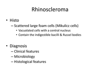 Rhinoscleroma
• Histo
– Scattered large foam cells (Mikulicz cells)
• Vacuolated cells with a central nucleus
• Contain the indigestible bacilli & Russel bodies
• Diagnosis
– Clinical features
– Microbiology
– Histological features
 