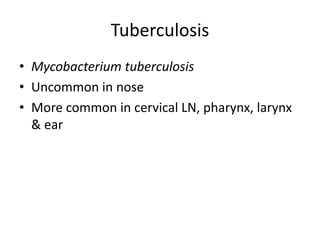 Tuberculosis
• Mycobacterium tuberculosis
• Uncommon in nose
• More common in cervical LN, pharynx, larynx
& ear
 