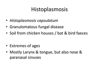 Histoplasmosis
• Histoplasmosis capsulatum
• Granulomatous fungal disease
• Soil from chicken houses / bat & bird faeces
• Extremes of ages
• Mostly Larynx & tongue, but also nose &
paranasal sinuses
 