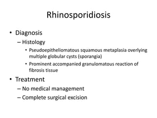 Rhinosporidiosis
• Diagnosis
– Histology
• Pseudoepitheliomatous squamous metaplasia overlying
multiple globular cysts (sporangia)
• Prominent accompanied granulomatous reaction of
fibrosis tissue
• Treatment
– No medical management
– Complete surgical excision
 