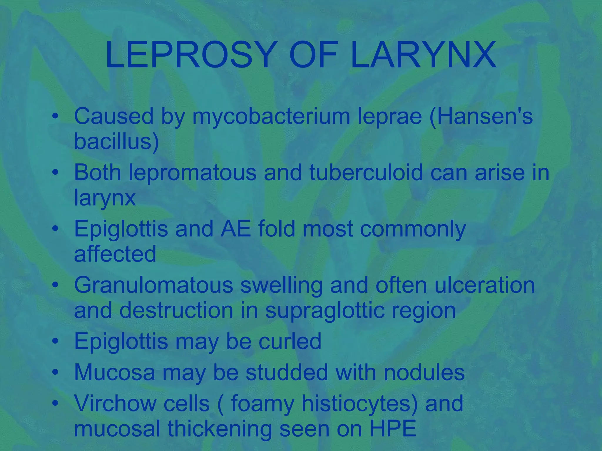 LEPROSY OF LARYNX
• Caused by mycobacterium leprae (Hansen's
  bacillus)
• Both lepromatous and tuberculoid can arise in
  larynx
• Epiglottis and AE fold most commonly
  affected
• Granulomatous swelling and often ulceration
  and destruction in supraglottic region
• Epiglottis may be curled
• Mucosa may be studded with nodules
• Virchow cells ( foamy histiocytes) and
  mucosal thickening seen on HPE
 