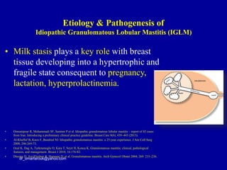 • Milk stasis plays a key role with breast
tissue developing into a hypertrophic and
fragile state consequent to pregnancy,
lactation, hyperprolactinemia.
• Omranipour R, Mohammadi SF, Samimi P et al. Idiopathic granulomatous lobular mastitis – report of 43 cases
from Iran. Introducing a preliminary clinical practice guideline. Breast Care 8(6), 439–443 (2013).
• Al-Khaffaf B, Knox F, Bundred NJ. Idiopathic granulomatous mastitis: a 25-year experience. J Am Coll Surg
2008; 206:269-73.
• Ocal K, Dag A, Turkmenoglu O, Kara T, Seyit H, Konca K. Granulomatous mastitis: clinical, pathological
features, and management. Breast J 2010; 16:176-82.
• Diesing D, Axt-Fliedner R, Hornung D, et al. Granulomatous mastitis. Arch Gynecol Obstet 2004; 269: 233–236.
dr_omarfarouk@yahoo.com
Etiology & Pathogenesis of
Idiopathic Granulomatous Lobular Mastitis (IGLM)
 