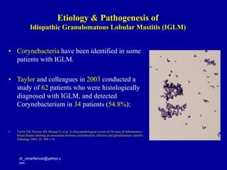 • Corynebacteria have been identified in some
patients with IGLM.
• Taylor and colleagues in 2003 conducted a
study of 62 patients who were histologically
diagnosed with IGLM, and detected
Corynebacterium in 34 patients (54.8%);
• Taylor GB, Paviour SD, Musaad S, et al. A clinicopathological review of 34 cases of inflammatory
breast disease showing an association between corynebacteria infection and granulomatous mastitis.
Pathology 2003; 35: 109–119.
dr_omarfarouk@yahoo.c
om
Etiology & Pathogenesis of
Idiopathic Granulomatous Lobular Mastitis (IGLM)
 