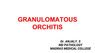 GRANULOMATOUS
ORCHITIS
Dr. ANJALY. S
MD PATHOLOGY
MADRAS MEDICAL COLLEGE
 