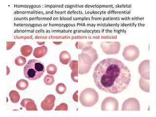 Granulocyte Defect H2o2 Granulocytes in health and disease | PPTX