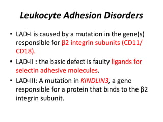 Granulocytes in health and disease | PPTX