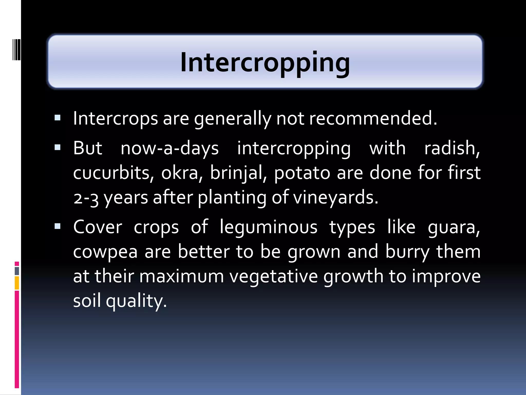  Intercrops are generally not recommended.
 But now-a-days intercropping with radish,
cucurbits, okra, brinjal, potato are done for first
2-3 years after planting of vineyards.
 Cover crops of leguminous types like guara,
cowpea are better to be grown and burry them
at their maximum vegetative growth to improve
soil quality.
Intercropping
 