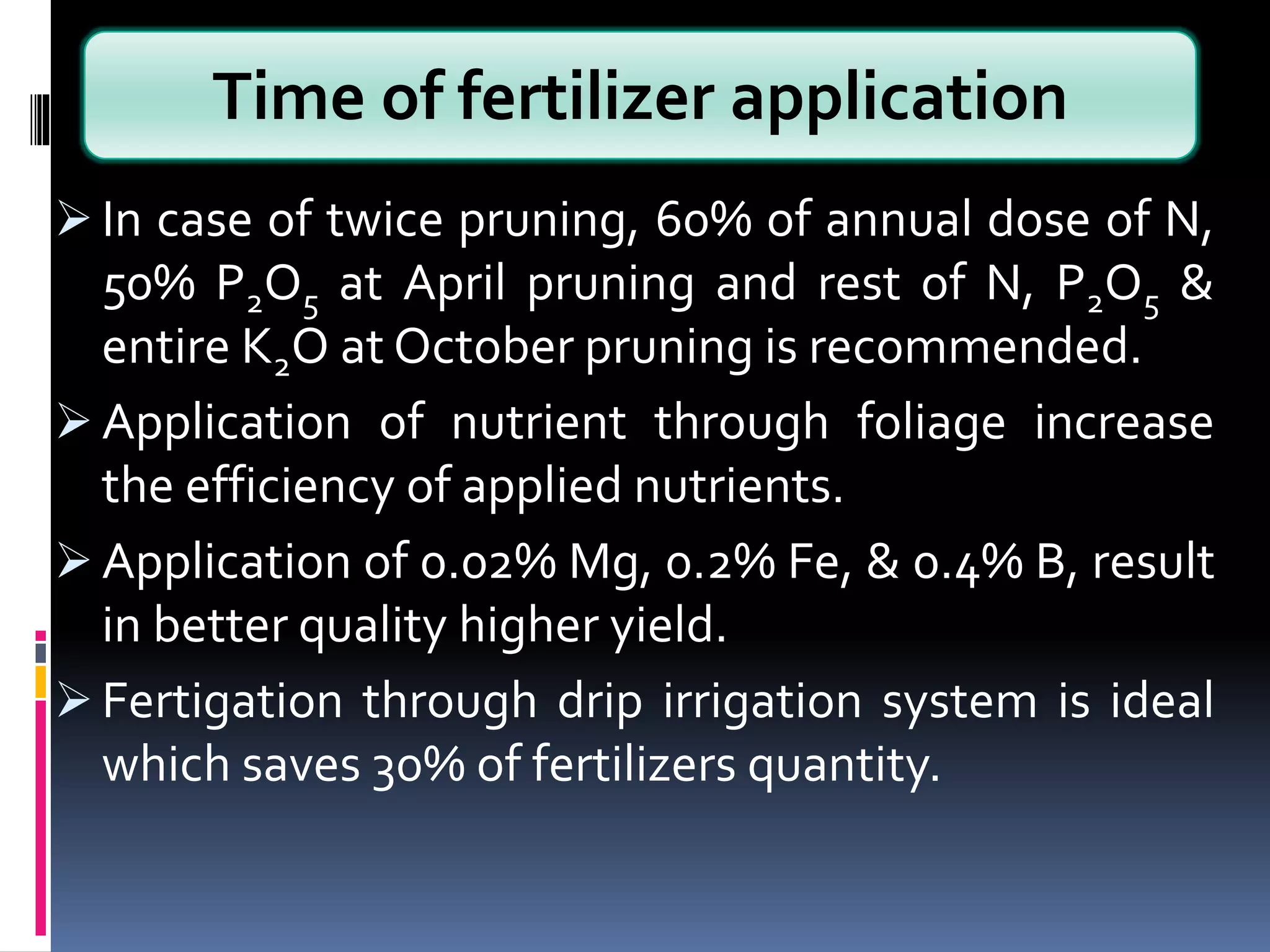  In case of twice pruning, 60% of annual dose of N,
50% P2O5 at April pruning and rest of N, P2O5 &
entire K2O at October pruning is recommended.
 Application of nutrient through foliage increase
the efficiency of applied nutrients.
 Application of 0.02% Mg, 0.2% Fe, & 0.4% B, result
in better quality higher yield.
 Fertigation through drip irrigation system is ideal
which saves 30% of fertilizers quantity.
Time of fertilizer application
 
